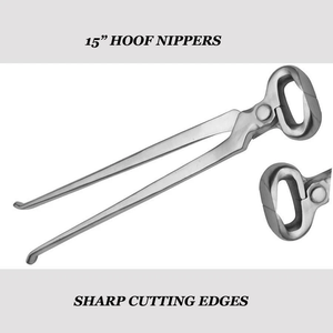 12 14 15 POUCES PROFESSIONNEL CHEVAL OUTIL PINCE À SABOT ACIER INOXYDABLE - Product Image 4