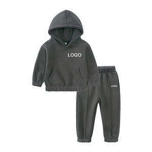 Combinaison à manches longues pour adolescents, vente en gros, polaire respirante, streetwear, ensemble de survêtement à capuche avec fermeture éclair, personnalisé, hiver - Product Image 1