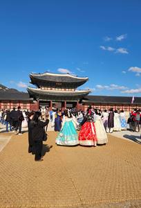 คุณภาพสูงเป็นมิตรกับสิ่งแวดล้อมทำด้วยมือสีน้ำตาลวินเทจเส้นใยมะพร้าวธรรมชาติสำหรับบ้านสวนแขวนตะกร้าผลิต - Product Image 6