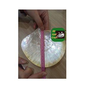 ÉLÉGANTE PLAT EN MÈRE DE PERLES ASSIETTE EN COQUILLE FAIT MAIN POUR LA DÉCORATION INTÉRIEURE ET LA PRÉSENTATION DE TABLE DE STYLE CÔTIER - Product Image 3
