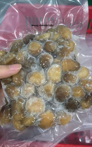 Champignons de paille surgelés IQF de qualité supérieure, purs et naturels - Product Image 2
