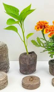 Qualité supérieure 3mm-10mm pièce de monnaie Polyfoam artisanat jardin Art projets Durable léger noix de coco tourbe semis Shrekha créations - Product Image 5