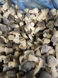 Champignons de paille entiers IQF, champignons de paille doux IQF 1 lb, champignons de paille doux IQF 454 g, champignons de paille IQF 1,76 oz, fournisseur vietnamien - Product Image 3