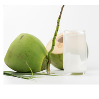 Pieza de cocos jóvenes frescos Forma de diamante Forma pulida Coco fresco rico en proteínas 250 a 300 ml por volumen Vietnam