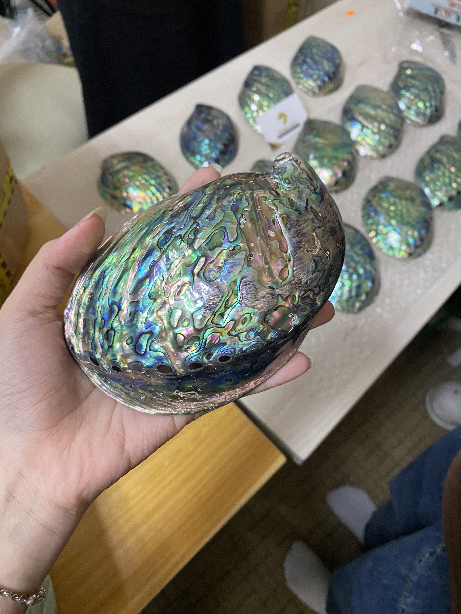 アワビの貝殻 虹色 インテリア 天然装飾品 約22cm×17cm アワビの貝殻 虹色 インテリア 天然装飾品 約22cm×17cm アワビの貝殻