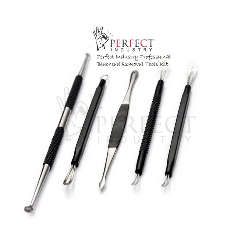 Perfect Industry 2023 acciaio inossidabile di colore nero 5 pezzi Blackhead Whitehead brufolo Acne Comedone Extractor Remover Tool Kit