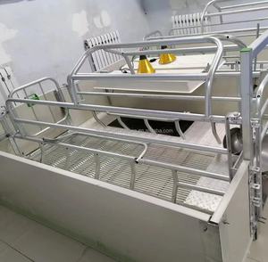 Fácil de instalar, equipo de cría de cerdos duradero, jaula para cerdos de cría, jaula de maternidad, puesto de parto para cerdas/pluma de parto - Product Image 5