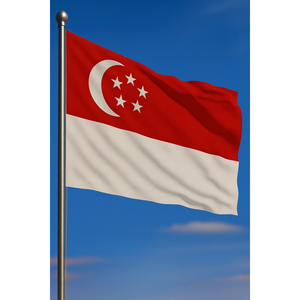Drapeau extérieur personnalisé de Singapour, numérique, durable, en aluminium, variété de matériaux : satin, nylon, plastique, polyester, vinyle, soie, automobile, assurance - Product Image 2