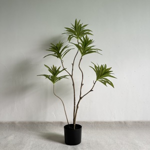 ต้นดราซีน่าประดิษฐ์-วัสดุ PE ทันสมัย สำหรับตกแต่งภายใน/ภายนอกอาคาร ใบเรียว ขนาด 120/150/180 ซม. (มีจำหน่ายขนาด 210 ซม.) - Product Image 6
