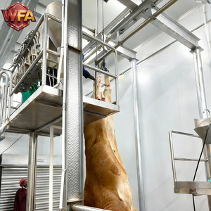 Equipo Industrial para Mataderos de Ganado, Línea Automática de Sacrificio de Vacas, Reses y Pavos para Mataderos de Animales - Product Image 6