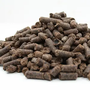 Granulés de pulpe de betterave à sucre de qualité supérieure Pulpe de betterave animale disponible
