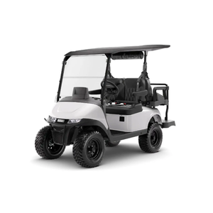 Carrito de Golf Más Vendido, 4 y 6 Plazas, Entrega Rápida - Product Image 1