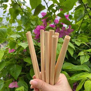 100% pailles à boire en bambou réutilisables naturelles écologiques durables biodégradables faites à la main au Vietnam Eco2go Vietnam pour les fêtes - Product Image 2