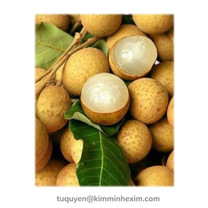 ลำไยแช่แข็งจากเวียดนามสำหรับการส่งออกกระบวนการ iqf บรรจุภัณฑ์จำนวนมาก - Product Image 1