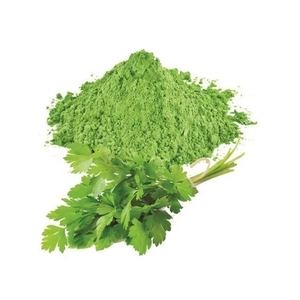 Poudre de feuille de carvi organique séchée crue Carum Carvi/Coriandre/Poudre de jus de coriandre Procédé de séchage avancé AD 100% naturel - Product Image 6