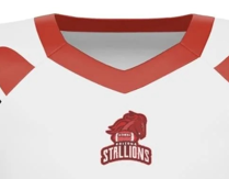 Camiseta de Fútbol Americano Personalizada de Alta Calidad con Malla Bordada y Cosida para Fanáticos 2025 - Product Image 4