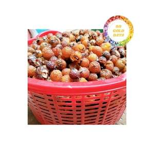 Noix de savon d'origine vietnamienne, livrées par un fournisseur de confiance, offrant une qualité constante et des offres en gros bénéfiques pour diverses utilisations de nettoyage. - Product Image 2