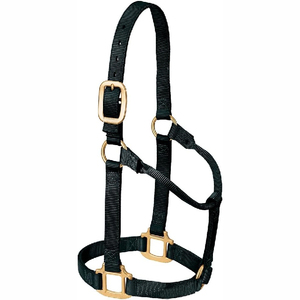 Halters de cheval de sport personnalisés Services OEM Halters corde prix bon marché - Product Image 5