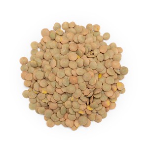 Venta caliente 100% Lentejas congeladas naturales Mejor precio Fresh Frozen Dried Style Bulk Packaging Calidad estándar - Product Image 6