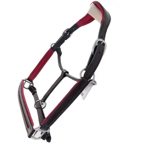 Sports de plein air Rider's Choice English Saddle Horse Head Collar Vide Channel en cuir avec rembourrage rouge et quincaillerie argentée - Product Image 1