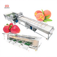 Machine industrielle de lavage, séchage et triage des fruits et légumes avec PLC et moteur en acier inoxydable 304 haute efficacité