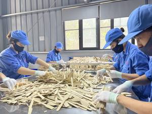 Fabricante de cubiertos de madera desechables - Product Image 4