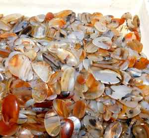 Natural Montana Agate Cabochon Loose Gemstone for Jewelry Making - Product Image 1