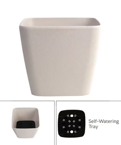 Maceta Moderna Cuadrada de 8 Pulgadas, Color Blanco Hueso, Grande, Autorregante, Biodegradable, de Plástico, 2 Galones, Duradera, para Vivero, India - Product Image 3