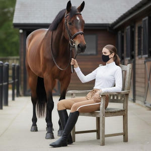 Pantalons d'équitation pour hommes à prix d'usine, avec genouillères, durables, pantalons d'équitation, pantalons d'entraînement, poches zippées - Product Image 6