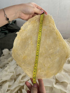 Bandes de vessie de poisson séchées de qualité supérieure, fournisseur vietnamien, meilleur prix, fruits de mer riches en protéines |   Bar/basa - Product Image 5