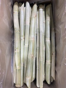 CANNE À SUCRE CONGELÉE PREMIUM/NON-GMO/PRÊT À MÂCHER/ORIGINE DU VIETNAM - Product Image 5