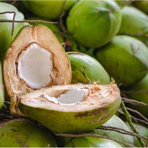 Coco Verde Fresco Entero Orgánico de Primera Calidad, Agua Hidratante Natural con Pulpa Dulce y Tierna - Product Image 3