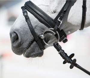 Mèches d'équitation en cuir de vache Western Comfort Fit Logo personnalisé avec corde pour l'équitation - Product Image 3