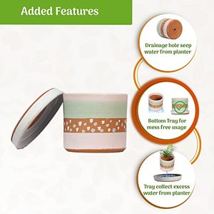 Elegant Cylinder <b>Terracotta</b> Pink Painted <b>Flower</b> <b>Pot</b> with Bottom Tray for Plants & Container Gardens - Product Image 3