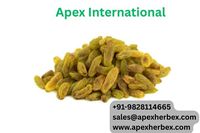 Premium Indiase Groene Rozijnen - Apex Merk Groothandel Bulk Uit Rajasthan Oorsprong 12 Maanden Houdbaarheid Jaipur