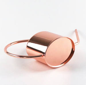 Regadera de metal duradera diseñada para un riego fiable del jardín que ofrece un flujo de agua suave y una manija ergonómica resistente. - Product Image 1