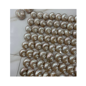 Decoración de concha y manualidades de interior con Concha en blanco y verde del fabricante de Vietnam 99 Gold Data - Product Image 3
