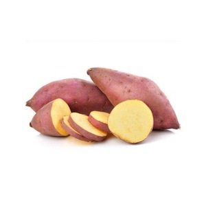Batatas de nueva temporada con sabor dulce natural, batata congelada de mayorista de Austria - Product Image 1