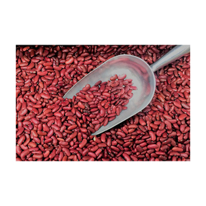 Red Kidney <b>Bean</b> low price bulk supply wholesale top quality - Product Image 5
