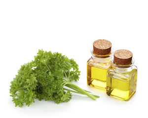 Aceite Esencial de Semilla de Perejil Grado 100% Puro Natural Destilado al Vapor para Aromaterapia Uso Cosmético OEM Etiqueta Privada Venta al por Mayor - Product Image 6