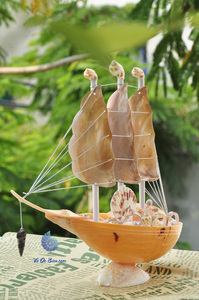 โมเดลเรือเปลือกหอยที่มีจำนวนจำกัดโดยเฉพาะจากธรรมชาติที่ผลิตในเวียดนาม - Product Image 6