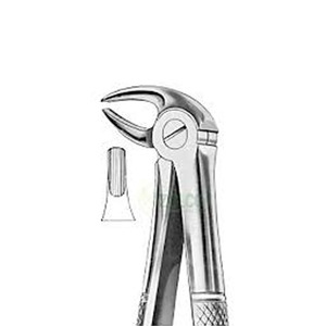 Tanveer Dentals Extracting Tooth Forceps <b>Model</b> 1009 Size 8 Class I Manual High Quality <b>Medical</b> Grade Stainless Steel CE - Product Image 2