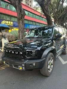 2026 2026 Traveler T2 2.0 Véhicule d'occasion Essence 4x4 Gator Tout-terrain Sans accident et prêt à l'emploi - Product Image 2