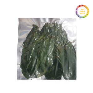 ใบ SOP graviola แบบแห้งคุณภาพเยี่ยม - Product Image 4