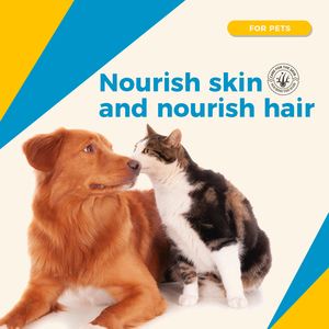 Gel de beauté des cheveux OEM pour chats Pâte nutritionnelle Produit pour animaux de compagnie Gel de supplément nutritionnel pour animaux de compagnie - Product Image 3