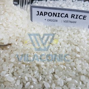 Viet Nam Fresh Organic 4-6mm Hard Texture White Japonica Long <b>Grain</b> Rice 2026 Crop Vilaconic Brand 5% Broken - Product Image 3