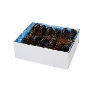 Homards frais à vendre, disponibles en différentes tailles pour diverses recettes. - Product Image 1