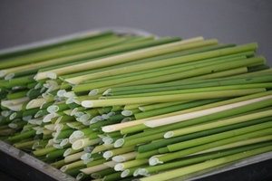 Venta al por mayor de pajitas de hierba orgánicas naturales artesanales, pajitas sostenibles, resistentes, no alterarán los sabores para bebidas frías y calientes - Product Image 3