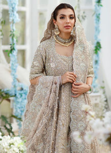 Robes de mariée pakistanaises élégantes et modernes de grande taille, tenue de cérémonie, broderie à lacets en cristal, décorations florales en mousseline de soie - Product Image 3