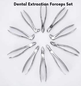 <b>Dental</b> Extraction Forceps Adult Size Stainless Steel Extraction Forceps for General & Oral Surgery <b>Dental</b> <b>Surgical</b> <b>Instruments</b> - Product Image 3